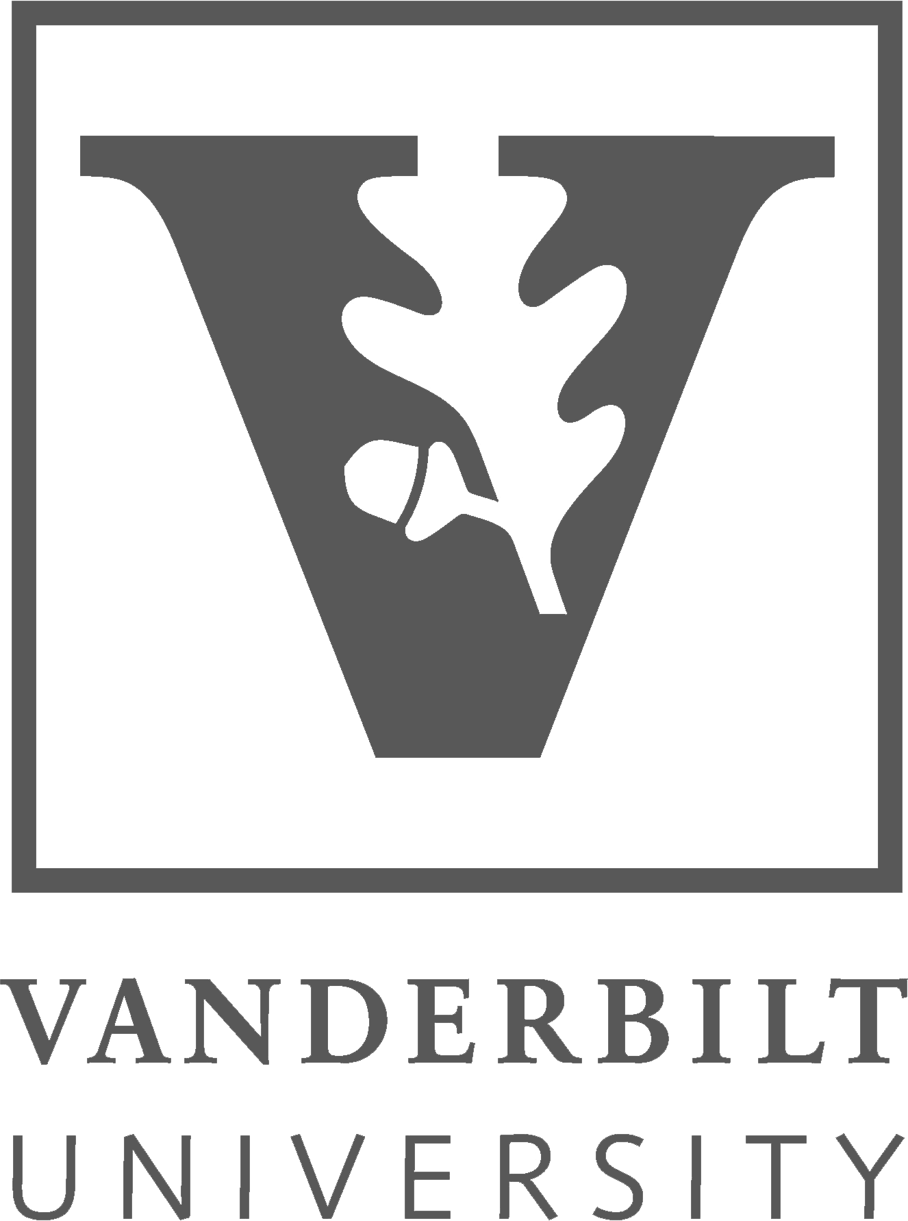 logo-partner-vanderbilt
