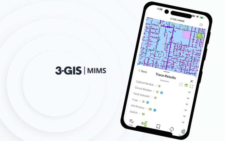 3-GIS | MIMS Image