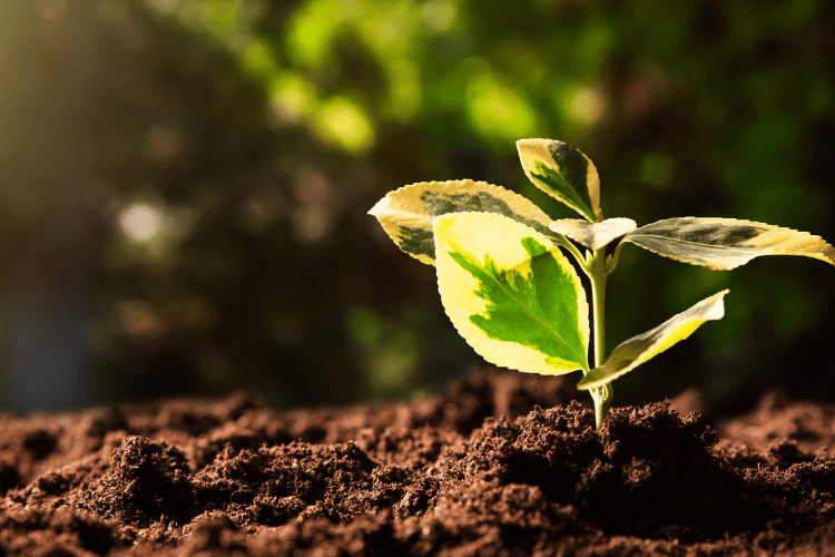 Leveraging GIS for environmental sustainability: Reducing impacts and costs