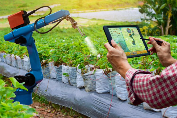 The vital role of connectivity in modern agriculture