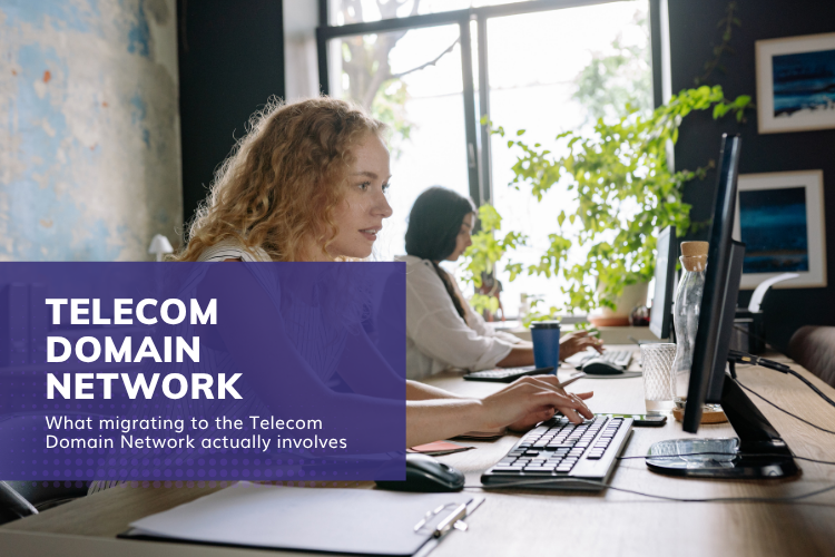 Blog | What migrating to the Telecom Domain Network actually involves