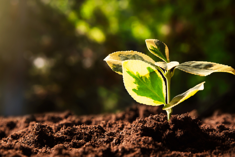 Leveraging GIS for environmental sustainability: Reducing impacts and costs