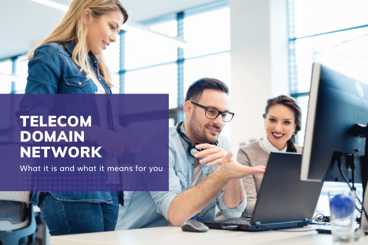 What is Esri’s Telecom Domain Network (TDN)?